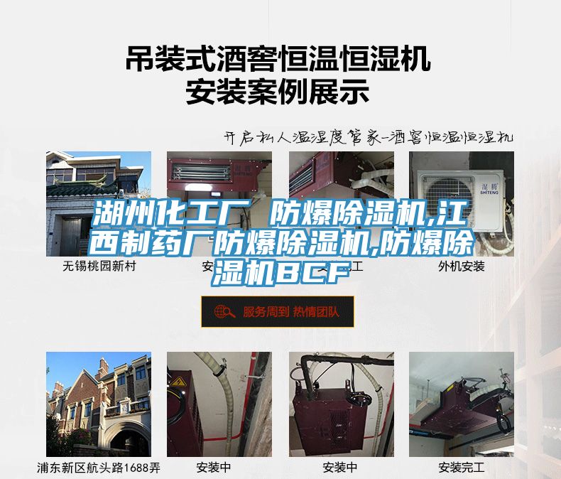 湖州化工廠(chǎng) 防爆除濕機,江西制藥廠(chǎng)防爆除濕機,防爆除濕機BCF