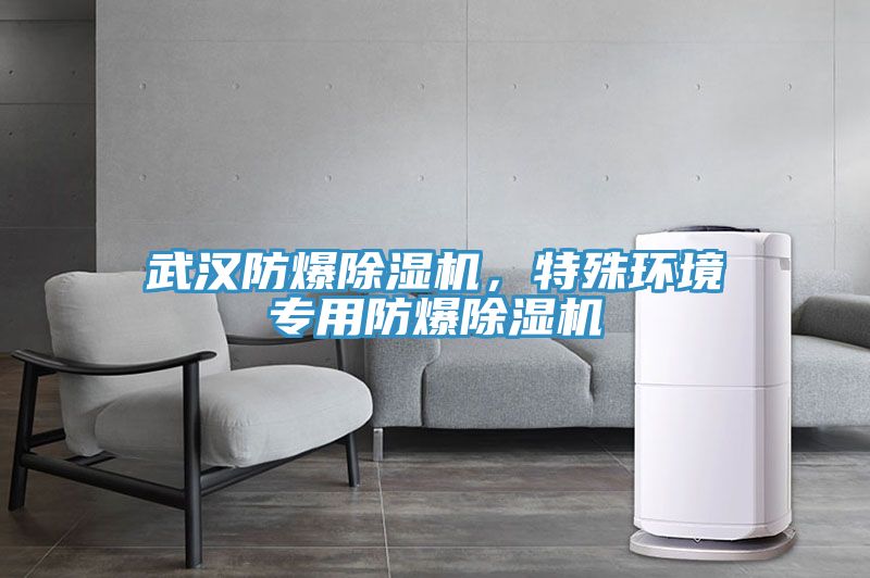 武漢防爆除濕機，特殊環(huán)境專(zhuān)用防爆除濕機