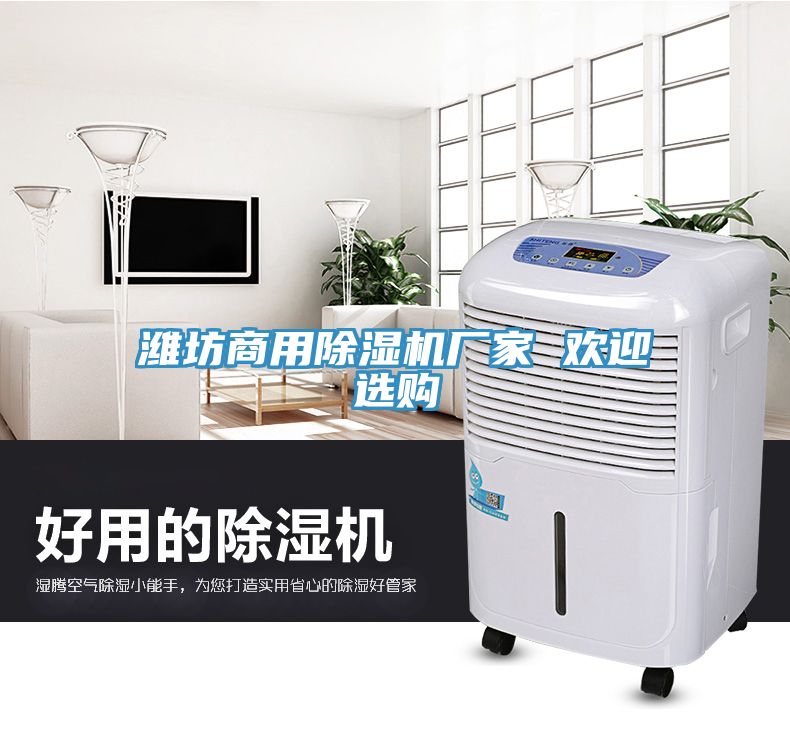 濰坊商用除濕機廠(chǎng)家 歡迎選購