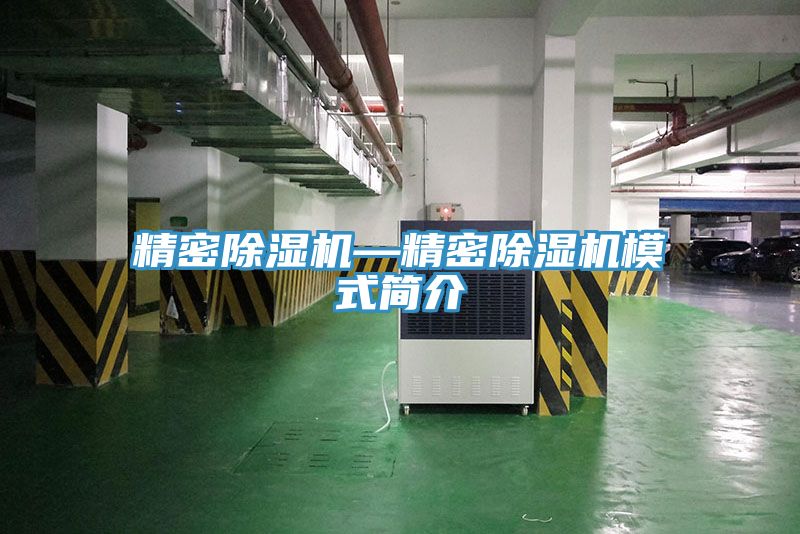 精密除濕機—精密除濕機模式簡(jiǎn)介