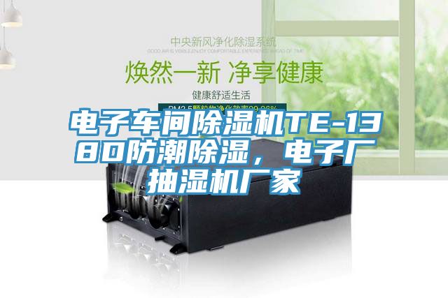 電子車(chē)間除濕機TE-138D防潮除濕，電子廠(chǎng)抽濕機廠(chǎng)家