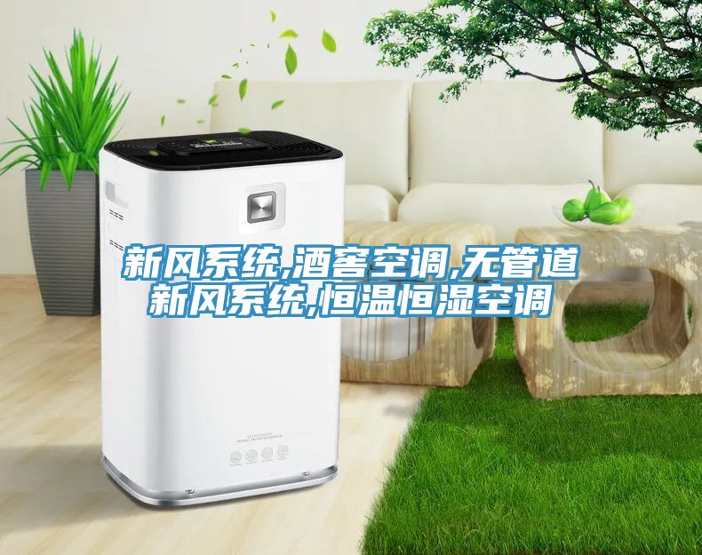 新風(fēng)系統,酒窖空調,無(wú)管道新風(fēng)系統,恒溫恒濕空調