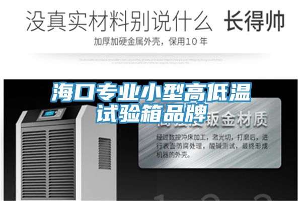 ?？趯?zhuān)業(yè)小型高低溫試驗箱品牌