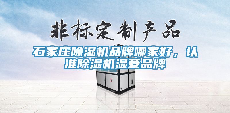 石家莊除濕機品牌哪家好，認準除濕機濕菱品牌