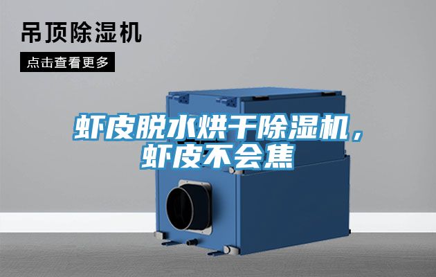 蝦皮脫水烘干除濕機，蝦皮不會(huì )焦