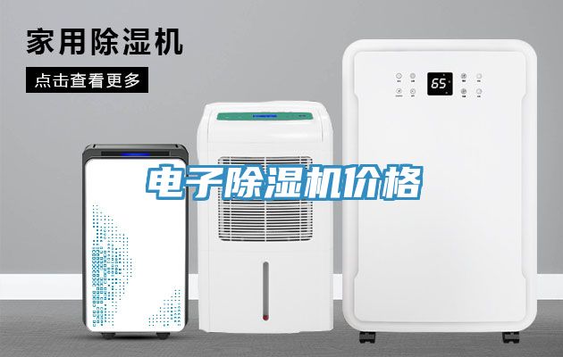 電子除濕機價(jià)格