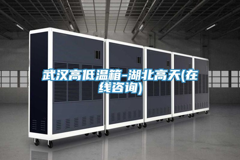 武漢高低溫箱-湖北高天(在線(xiàn)咨詢(xún))
