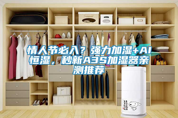 情人節必入？強力加濕+AI恒濕，秒新A3S加濕器親測推薦