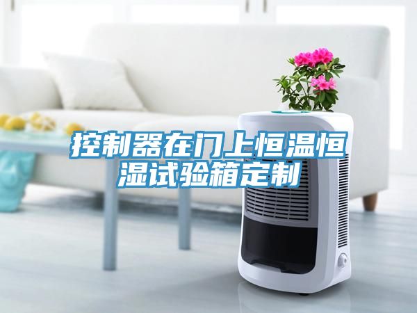 控制器在門(mén)上恒溫恒濕試驗箱定制