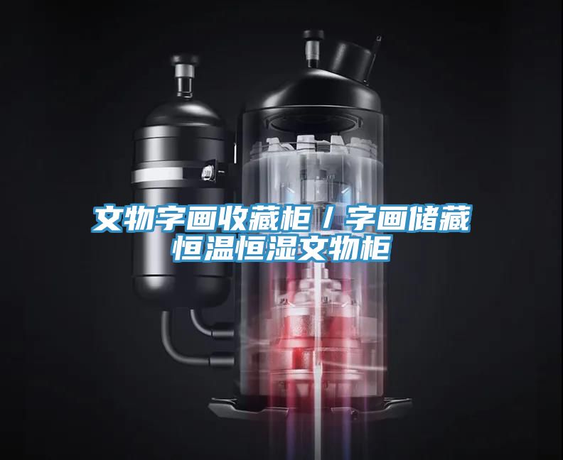 文物字畫(huà)收藏柜／字畫(huà)儲藏恒溫恒濕文物柜