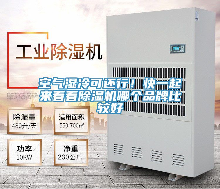 空氣濕冷可還行！快一起來(lái)看看除濕機哪個(gè)品牌比較好
