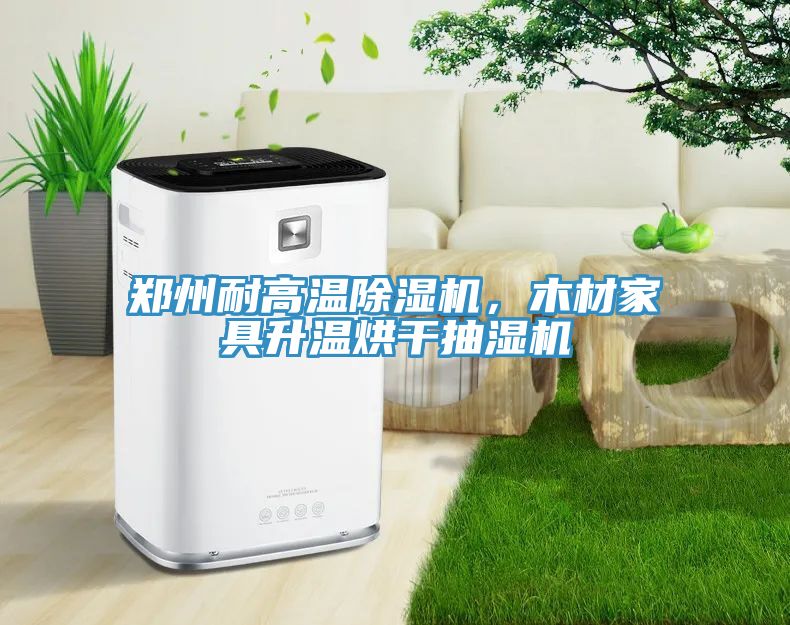 鄭州耐高溫除濕機，木材家具升溫烘干抽濕機