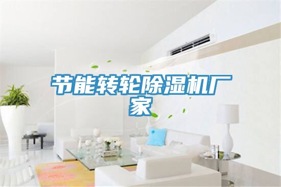 節能轉輪除濕機廠(chǎng)家
