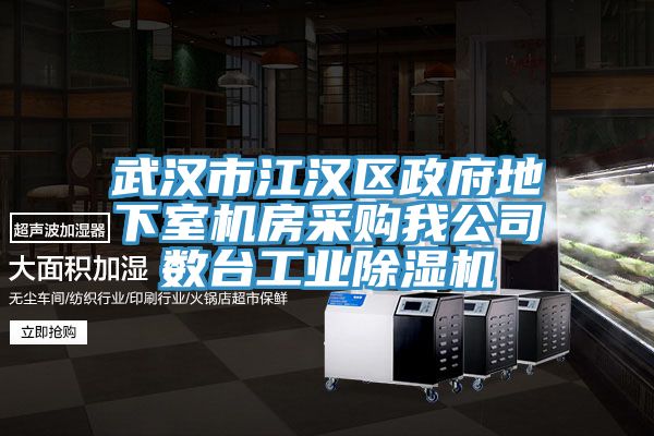 武漢市江漢區政府地下室機房采購我公司數臺工業(yè)除濕機
