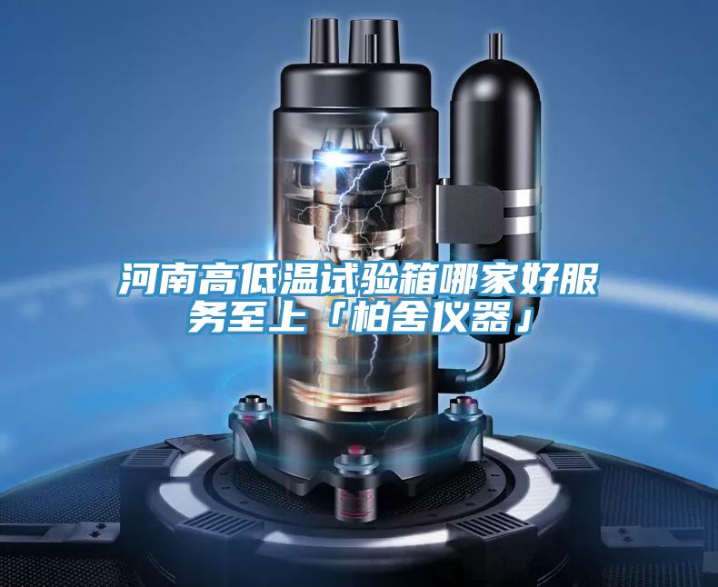 河南高低溫試驗箱哪家好服務(wù)至上「柏舍儀器」