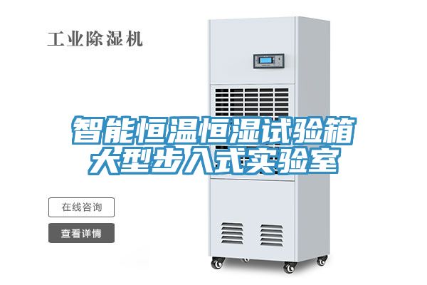 智能恒溫恒濕試驗箱大型步入式實(shí)驗室