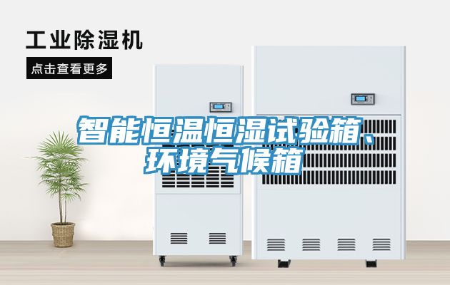 智能恒溫恒濕試驗箱、環(huán)境氣候箱