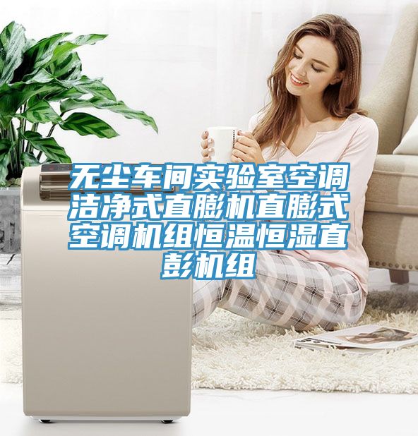 無(wú)塵車(chē)間實(shí)驗室空調潔凈式直膨機直膨式空調機組恒溫恒濕直彭機組