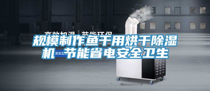 規模制作魚(yú)干用烘干除濕機 節能省電安全衛生