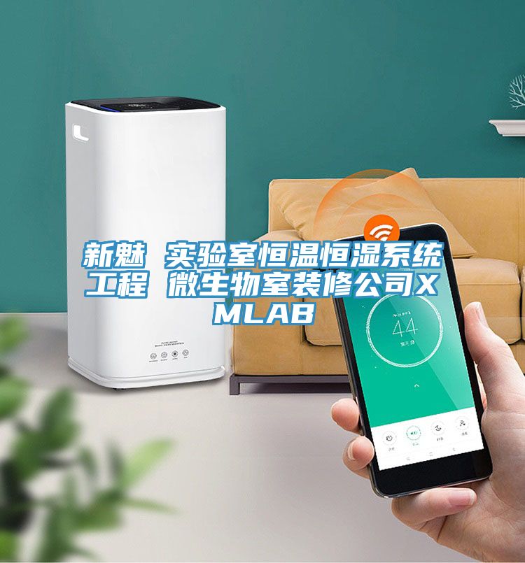 新魅 實(shí)驗室恒溫恒濕系統工程 微生物室裝修公司XMLAB