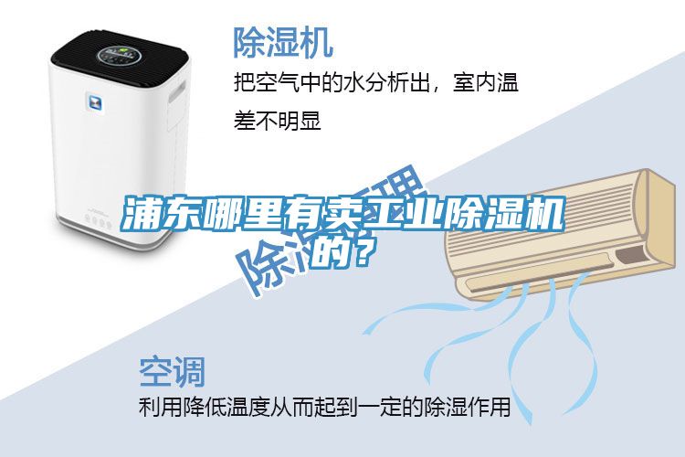 浦東哪里有賣(mài)工業(yè)除濕機的？