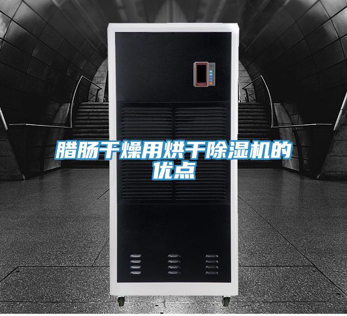 臘腸干燥用烘干除濕機的優(yōu)點(diǎn)