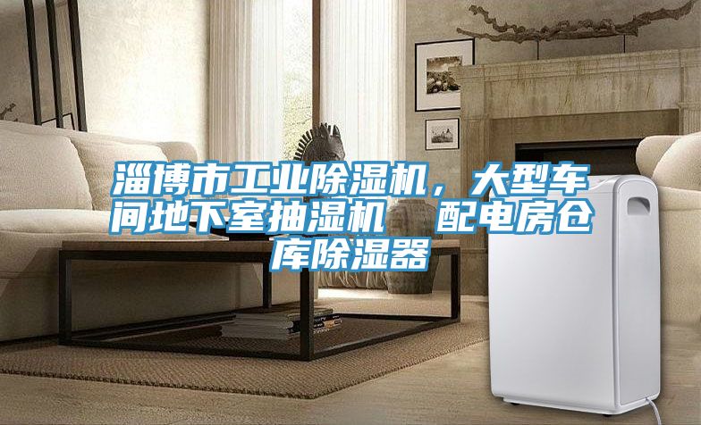 淄博市工業(yè)除濕機，大型車(chē)間地下室抽濕機  配電房倉庫除濕器