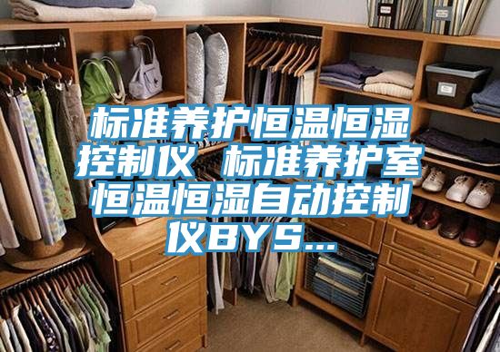 標準養護恒溫恒濕控制儀 標準養護室恒溫恒濕自動(dòng)控制儀BYS...