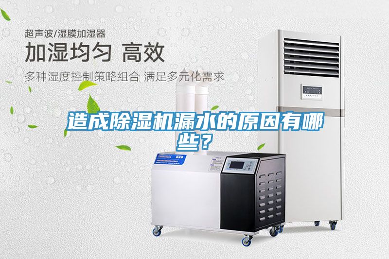 造成除濕機漏水的原因有哪些？