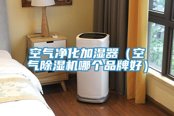 空氣凈化加濕器（空氣除濕機哪個(gè)品牌好）