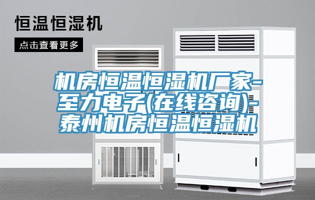 機房恒溫恒濕機廠(chǎng)家-至力電子(在線(xiàn)咨詢(xún))-泰州機房恒溫恒濕機