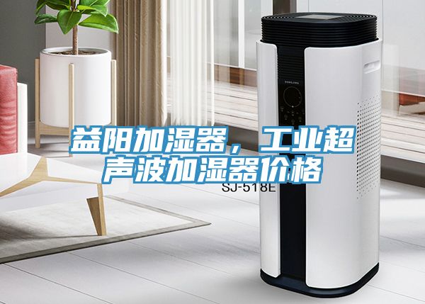 益陽(yáng)加濕器，工業(yè)超聲波加濕器價(jià)格