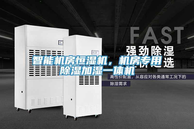 智能機房恒濕機，機房專(zhuān)用除濕加濕一體機