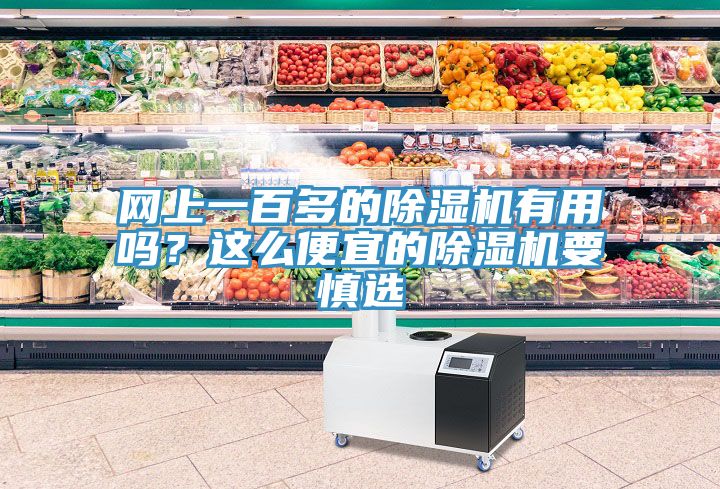 網(wǎng)上一百多的除濕機有用嗎？這么便宜的除濕機要慎選