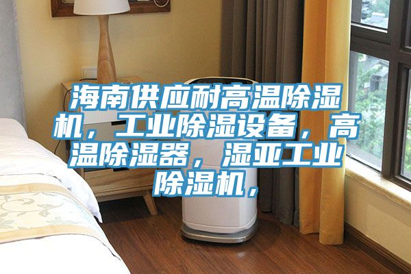 海南供應耐高溫除濕機，工業(yè)除濕設備，高溫除濕器，濕亞工業(yè)除濕機，