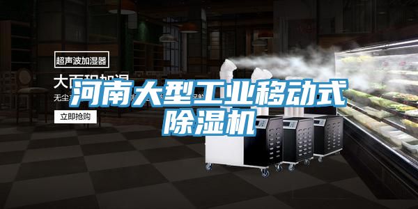 河南大型工業(yè)移動(dòng)式除濕機