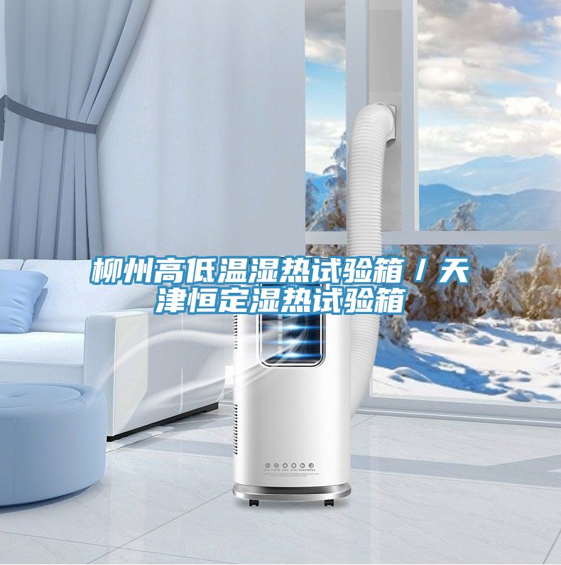 柳州高低溫濕熱試驗箱／天津恒定濕熱試驗箱