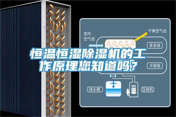 恒溫恒濕除濕機的工作原理您知道嗎？