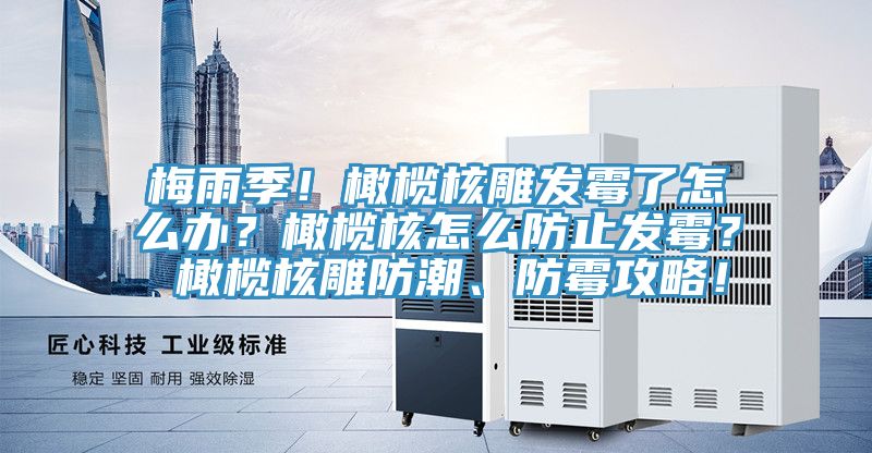 梅雨季！橄欖核雕發(fā)霉了怎么辦？橄欖核怎么防止發(fā)霉？ 橄欖核雕防潮、防霉攻略！