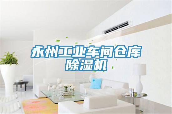 永州工業(yè)車(chē)間倉庫除濕機
