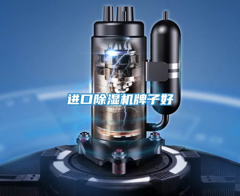 進(jìn)口除濕機牌子好