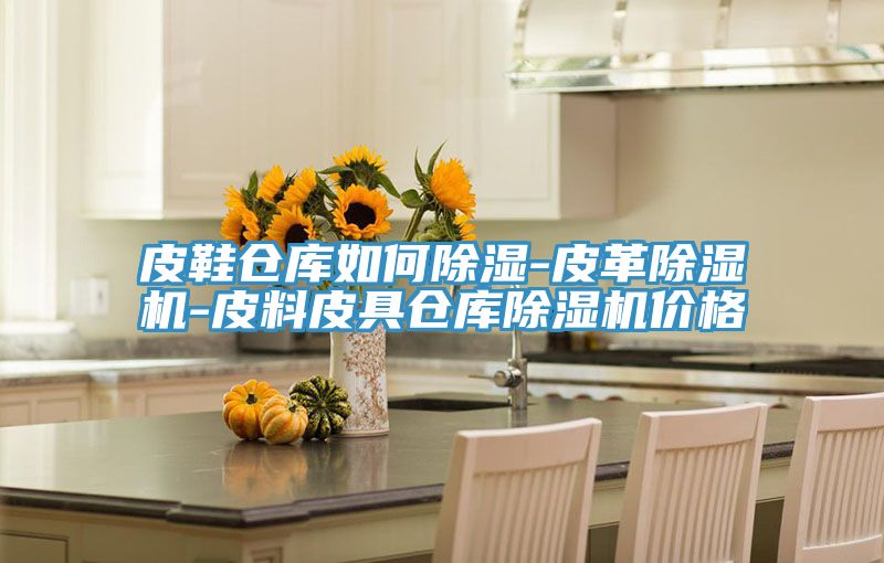 皮鞋倉庫如何除濕-皮革除濕機-皮料皮具倉庫除濕機價(jià)格