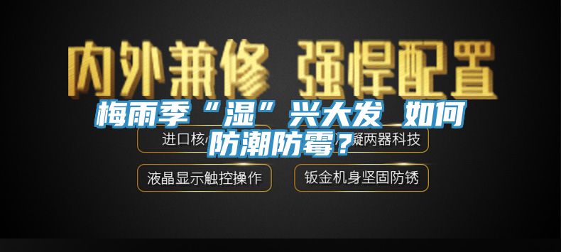 梅雨季“濕”興大發(fā) 如何防潮防霉？