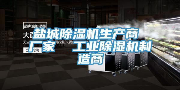 鹽城除濕機生產(chǎn)商 廠(chǎng)家  工業(yè)除濕機制造商