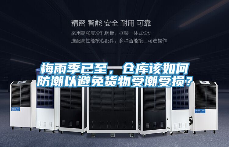 梅雨季已至，倉庫該如何防潮以避免貨物受潮受損？