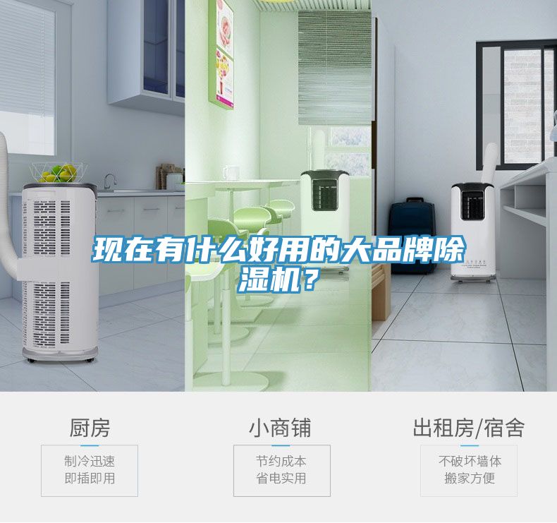 現在有什么好用的大品牌除濕機？