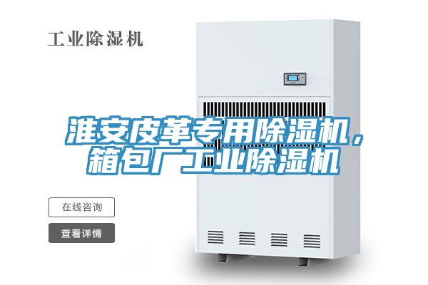 淮安皮革專(zhuān)用除濕機，箱包廠(chǎng)工業(yè)除濕機