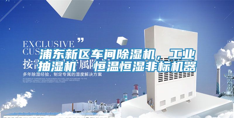 浦東新區車(chē)間除濕機，工業(yè)抽濕機  恒溫恒濕非標機器