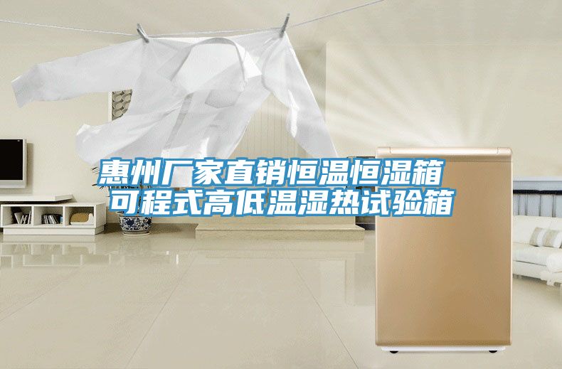 惠州廠(chǎng)家直銷(xiāo)恒溫恒濕箱 可程式高低溫濕熱試驗箱