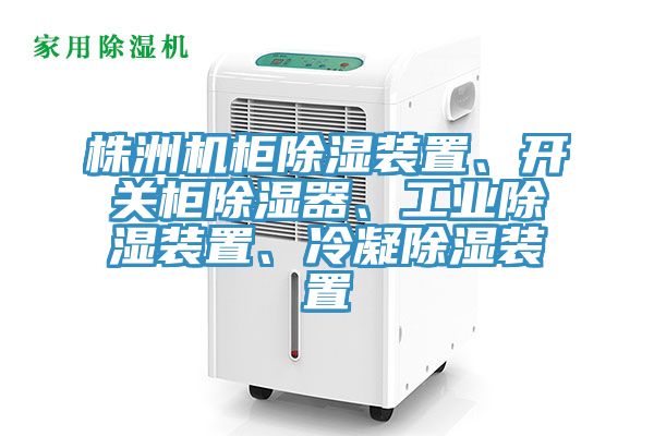 株洲機柜除濕裝置、開(kāi)關(guān)柜除濕器、工業(yè)除濕裝置、冷凝除濕裝置